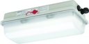 EX-Polyester Wannenleuchte LED